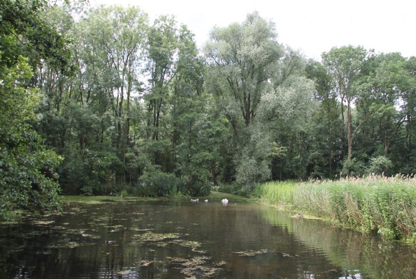 Afbeelding Jane Addamslaan 94, 1187 DA Amstelveen : 6